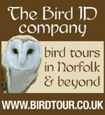 visit Birdtour for your Norfolk birding needs